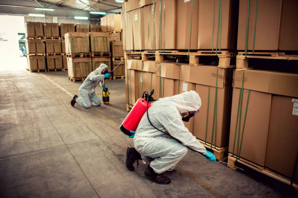 Best Pest Inspection Near Me  in Yuc Valley, CA