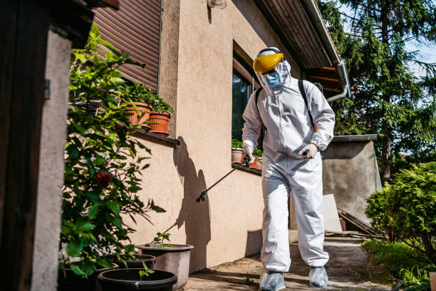 Best Exterminator Services  in Yuc Valley, CA