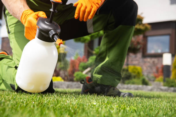 Best Affordable Pest Control Services  in Yuc Valley, CA
