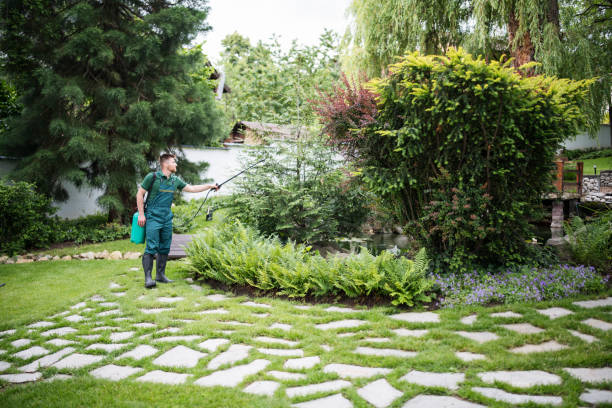 Best Wildlife Control Services  in Yuc Valley, CA
