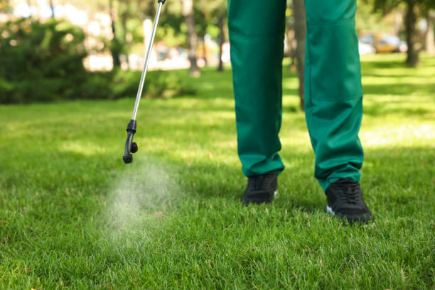 Best Cockroach Control Services  in Yuc Valley, CA