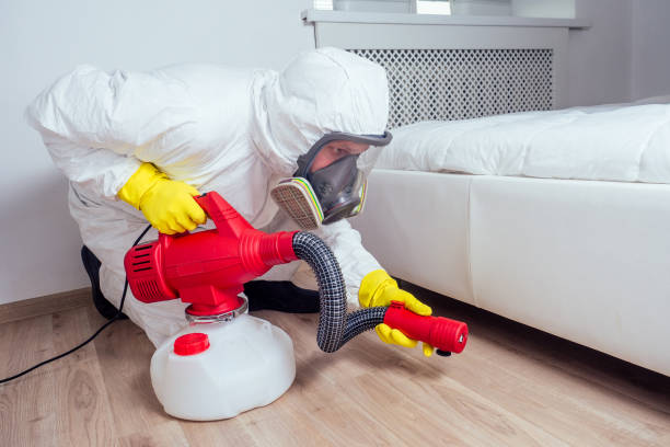 Best Bed Bug Extermination  in Yuc Valley, CA
