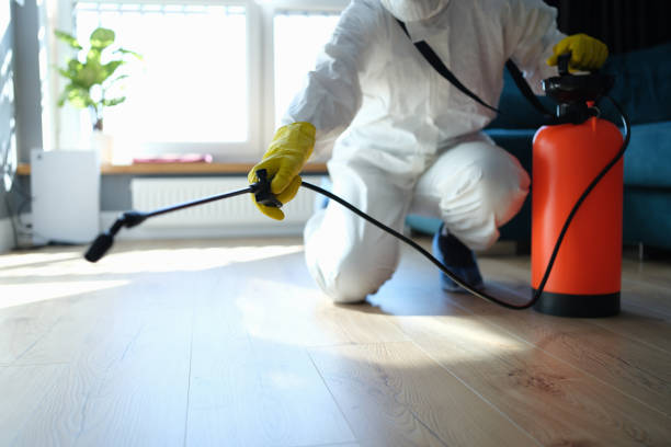 Best Pest Removal Services  in Yuc Valley, CA