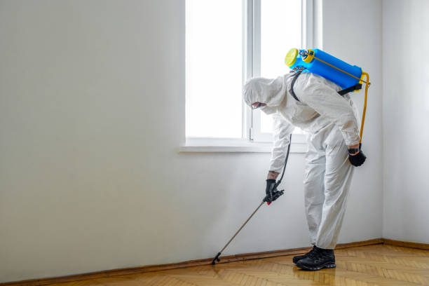 Insect Control in Yucca Valley, CA