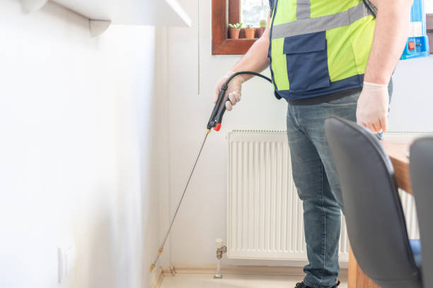 Best Wasp Removal Services  in Yuc Valley, CA