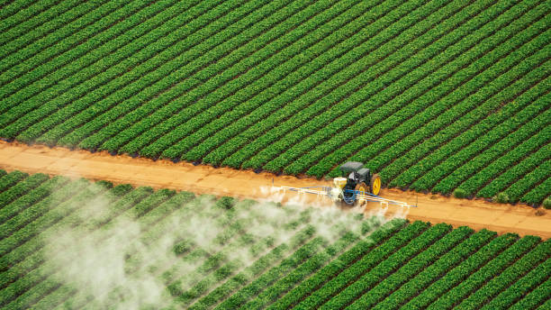 Best Insect Control  in Yuc Valley, CA
